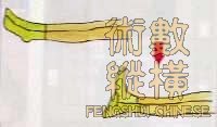 leg02.jpg