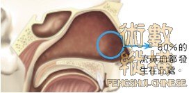 nose04.jpg