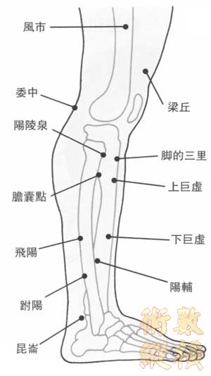 穴道圖002.jpg