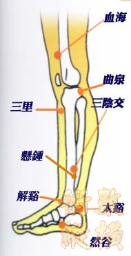 穴道圖003.jpg