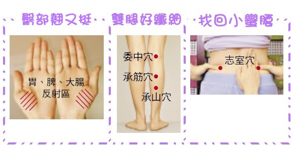 穴道圖.jpg