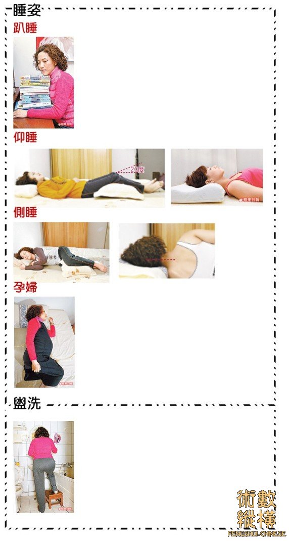 脊椎.jpg
