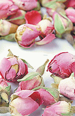 rose.gif