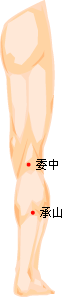 痔瘡.gif