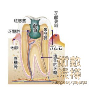 teeth03.jpg