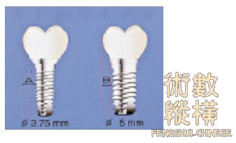 teeth26.jpg