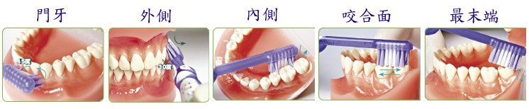 teeth.jpg
