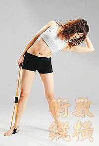 tw04.gif