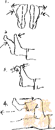 運動.gif