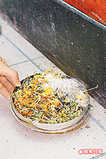 燒藥草防蚊.jpg