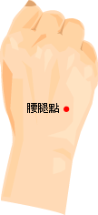 膝關節炎002.gif