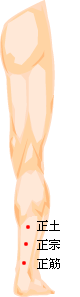 頭部外.gif