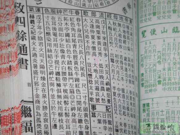 2008.jpg