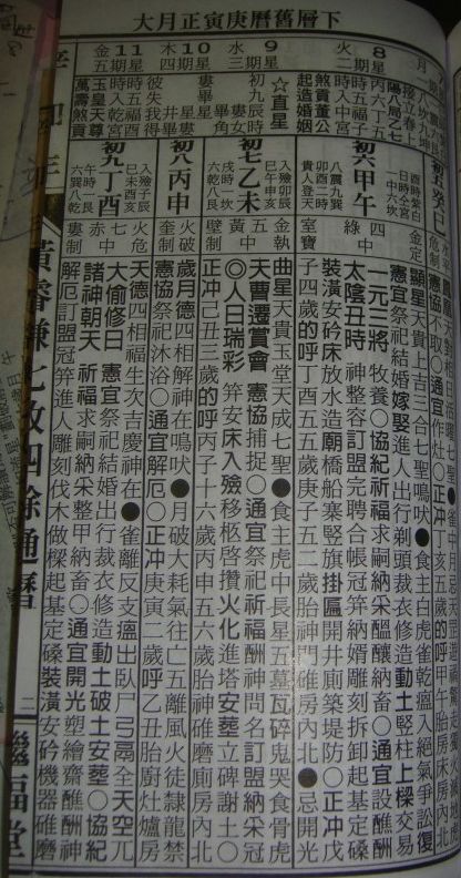 t3.jpg