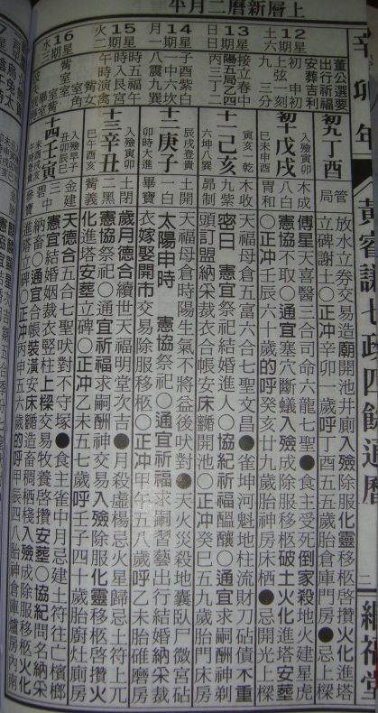 t4.jpg