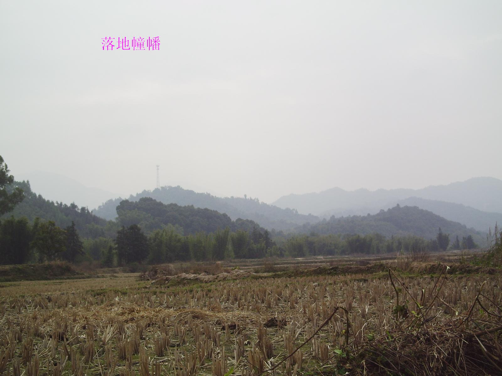 4_30829_a1adf2e0625337f.jpg