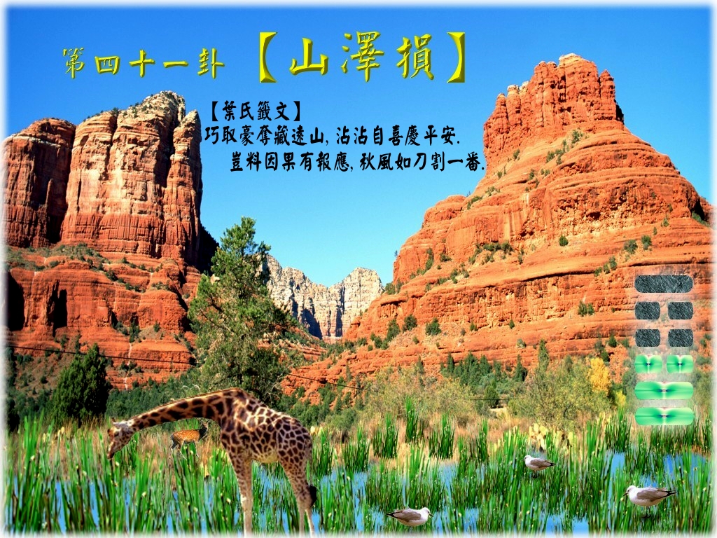 41山澤損.jpg