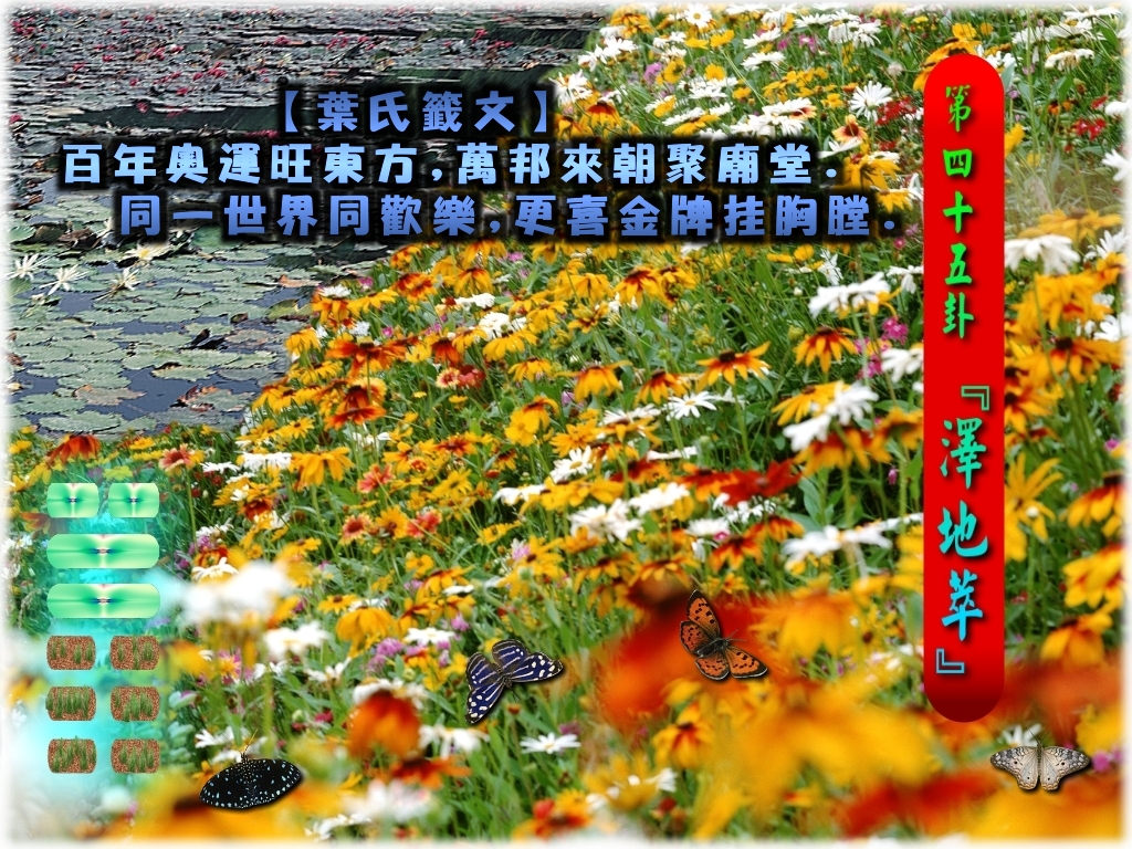 45澤地萃.jpg
