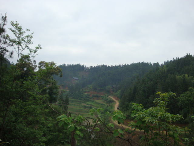 DSC01411.JPG