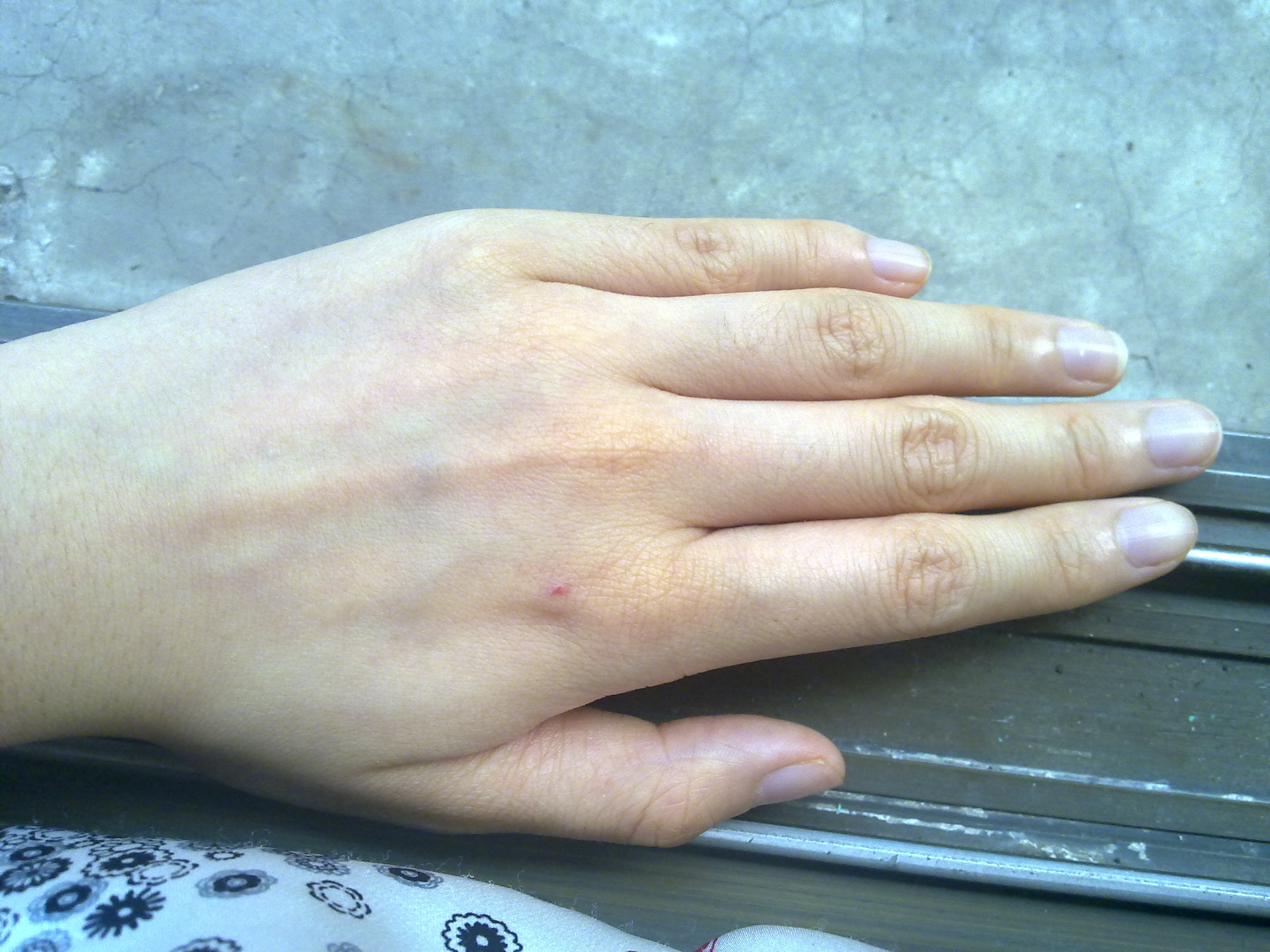 07082010388.jpg