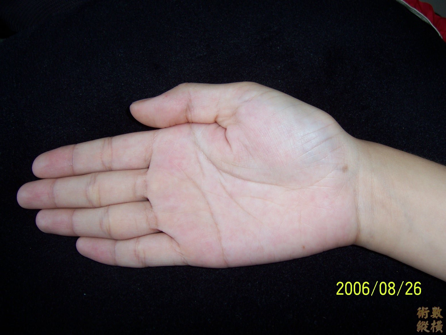 100_0873.JPG
