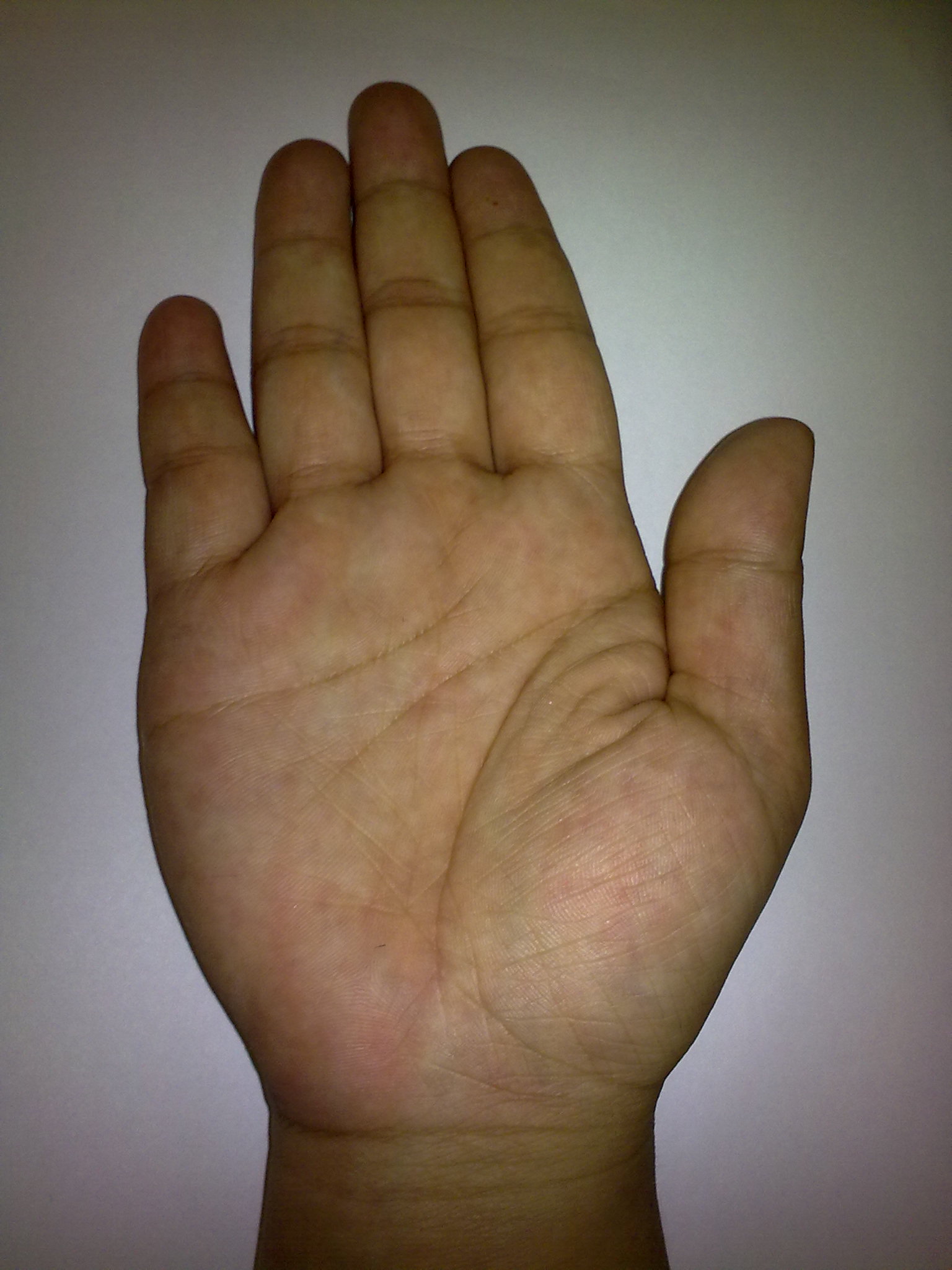 12052010127.jpg