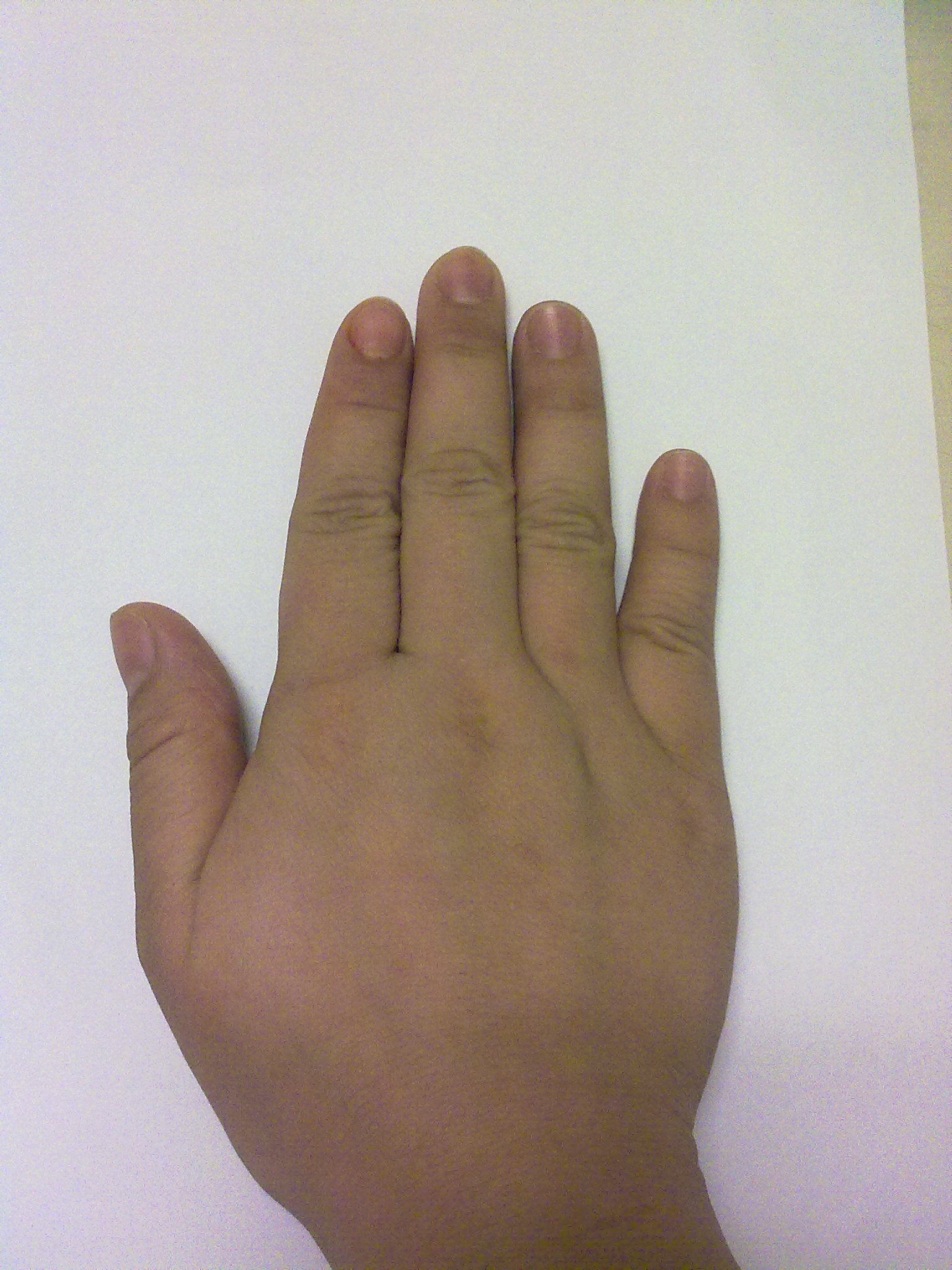 13052010134.jpg
