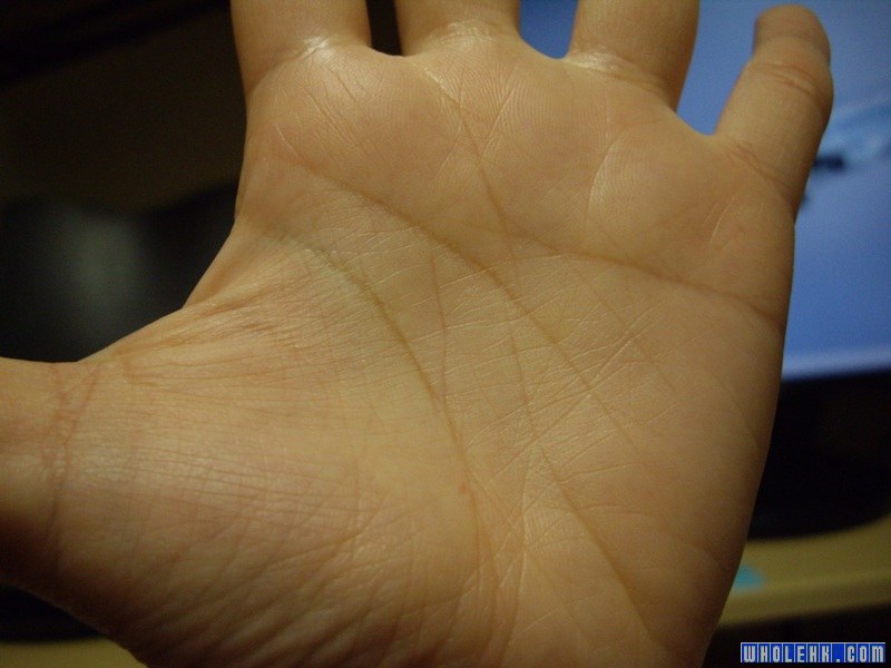 20080327_ed76f61ffa605c33927bNKM4xV5exQ6H.jpg