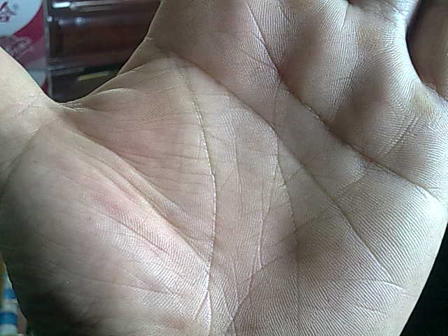 20090821077.jpg