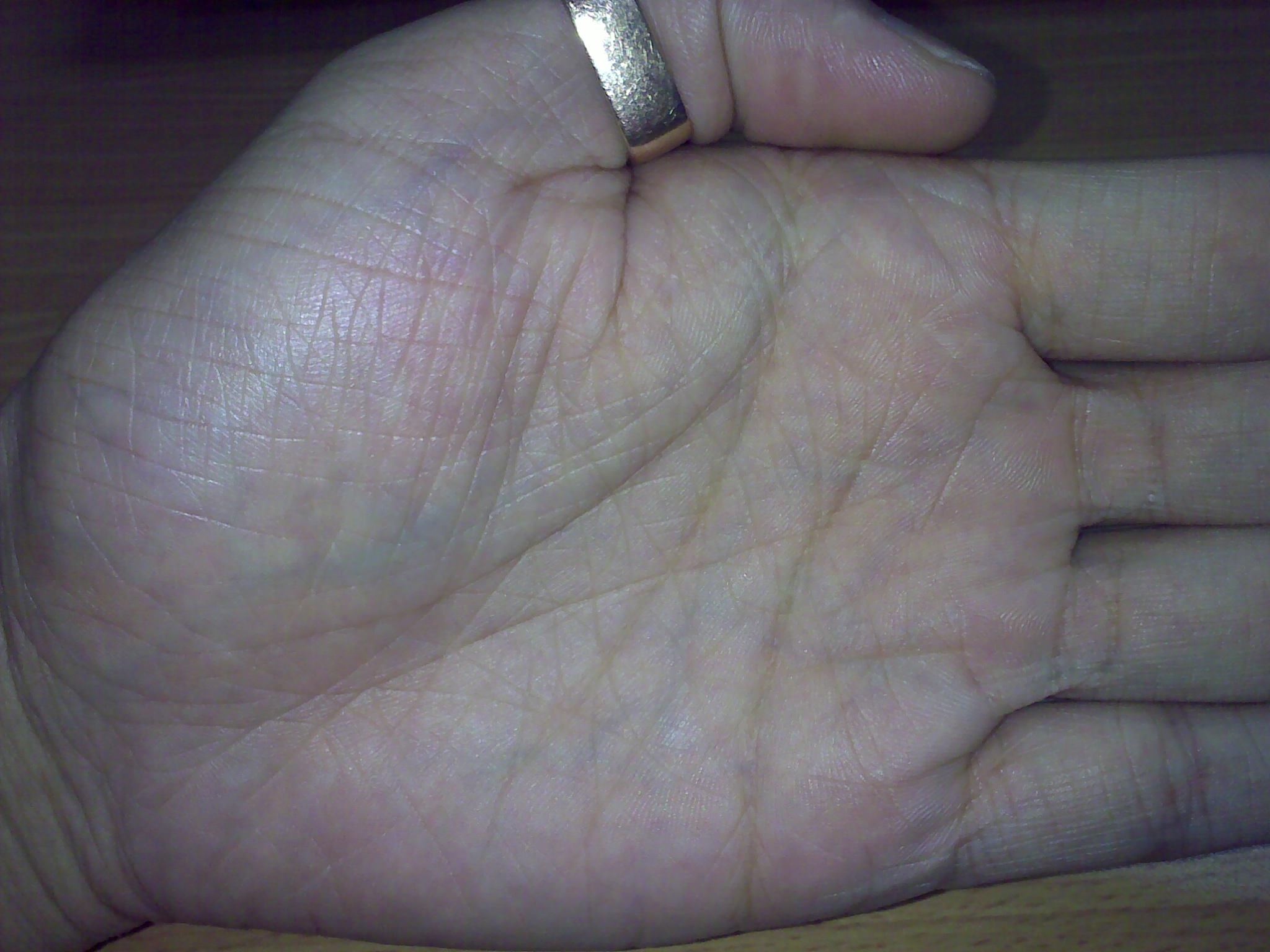 20100612228.jpg