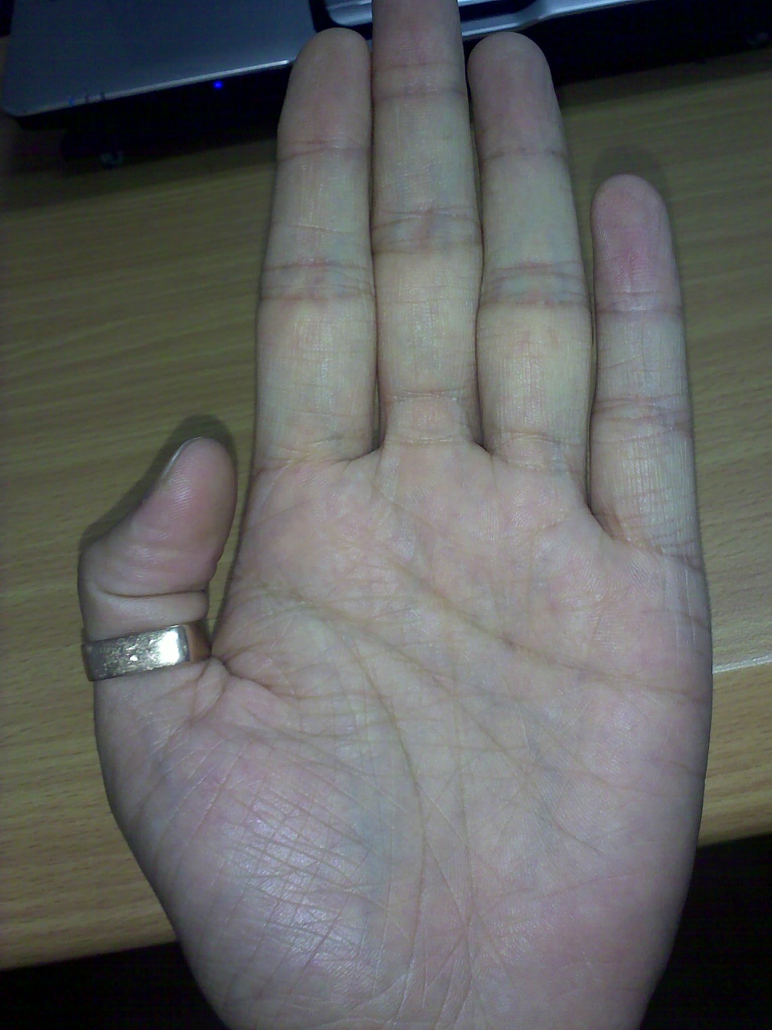 20100612229.jpg