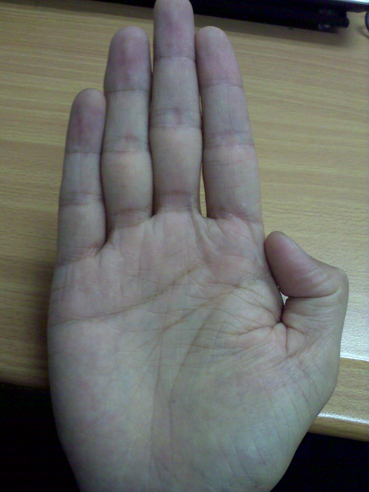 20100612233.jpg