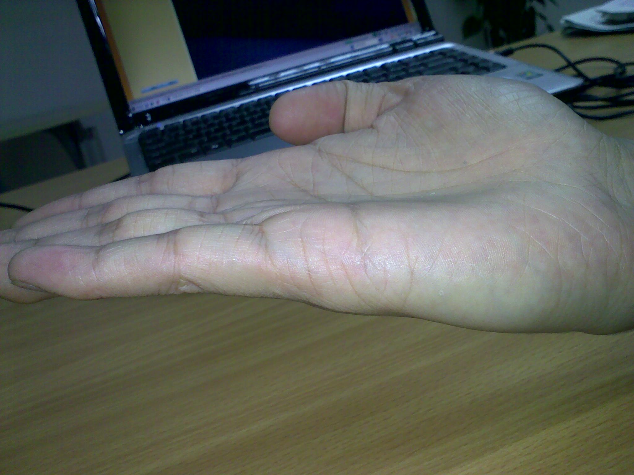 20100612234.jpg