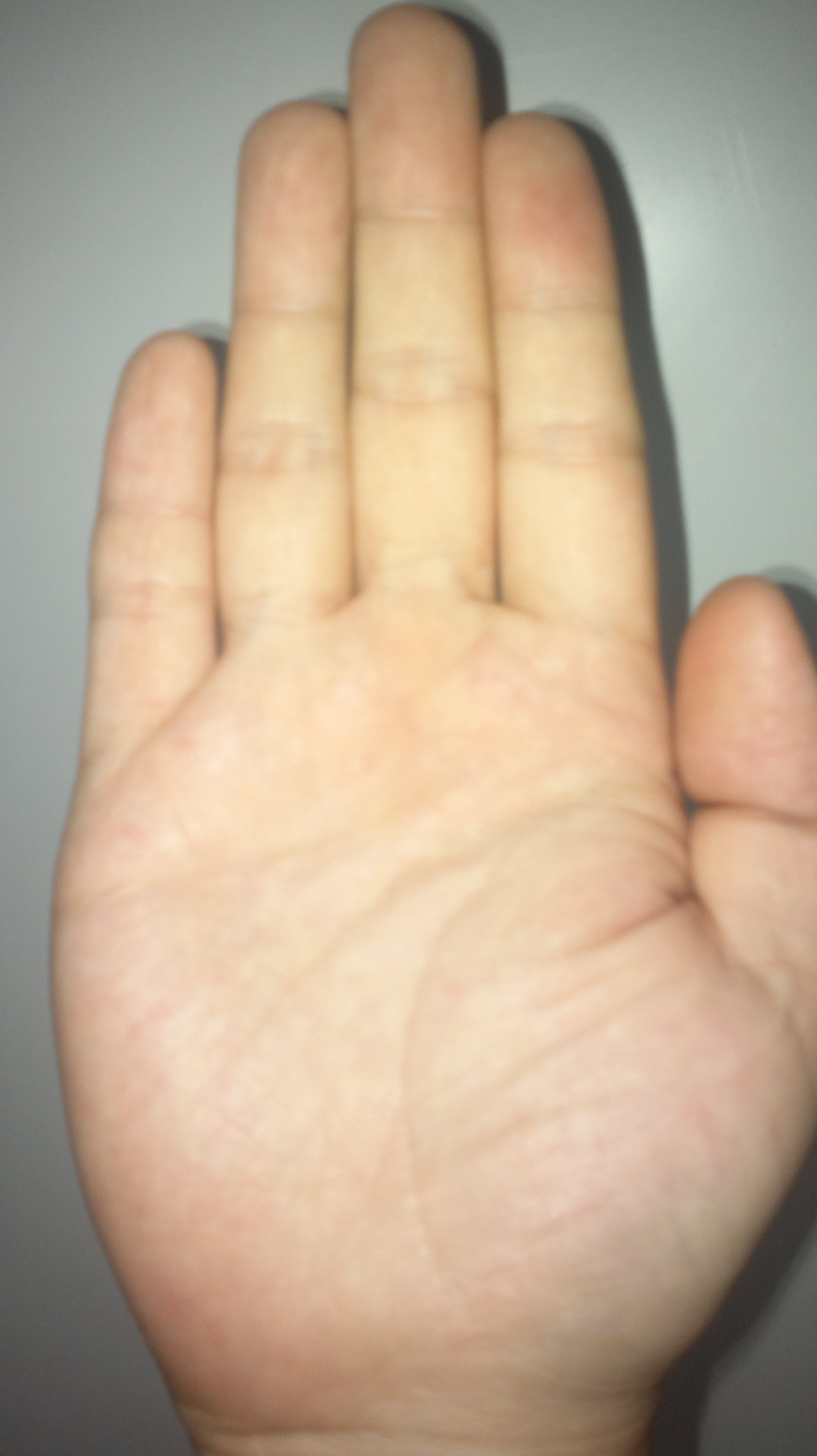2012-07-26-005.jpg