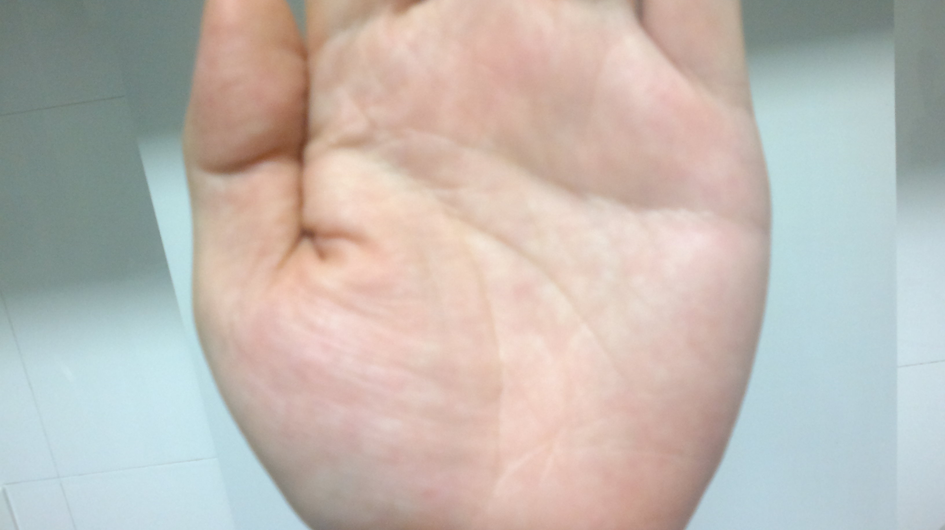 2012-07-26-010.jpg