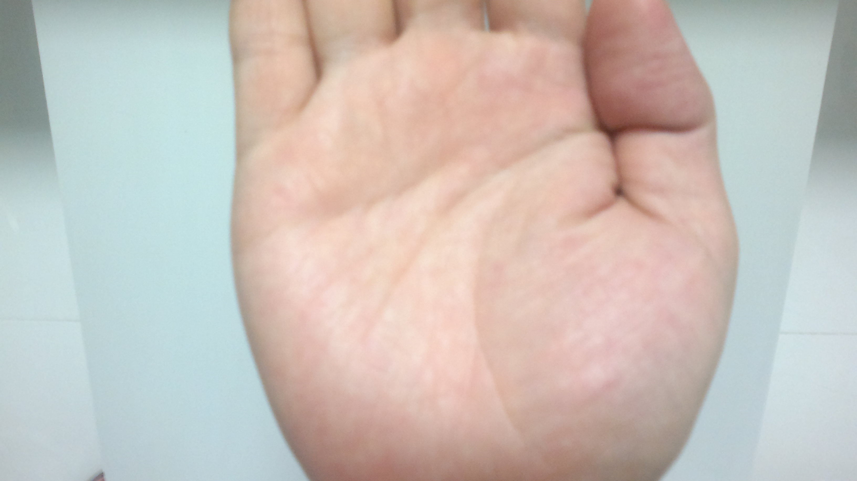 2012-07-26-011.jpg