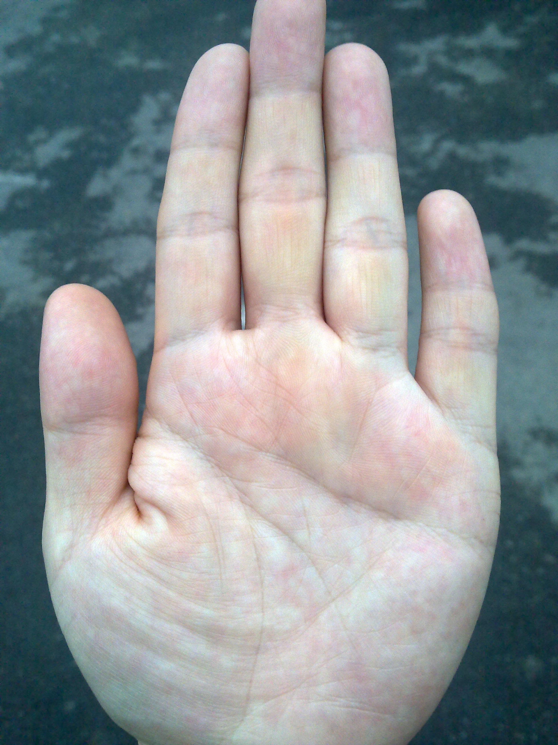 20120727020.jpg