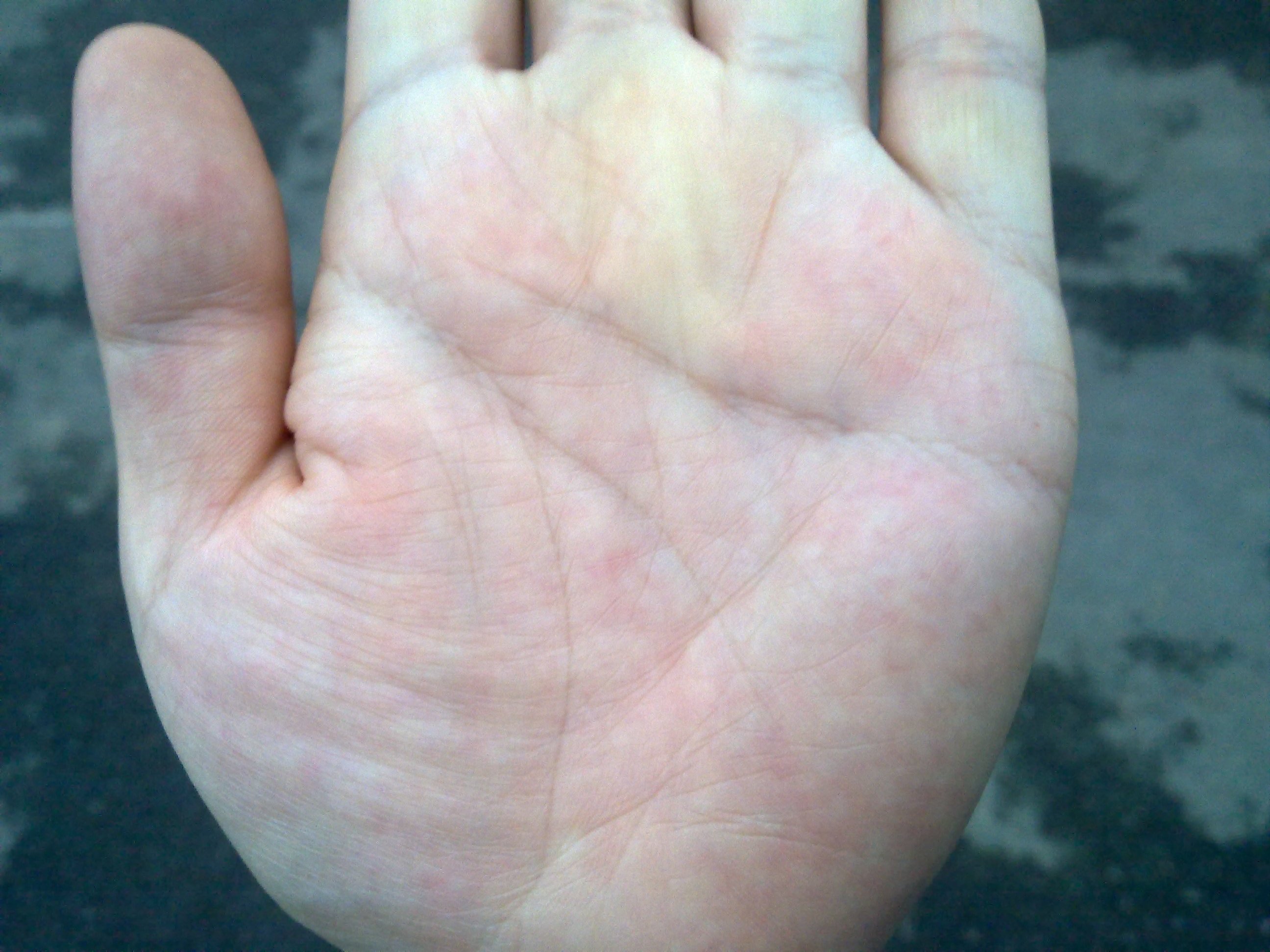 20120727024.jpg