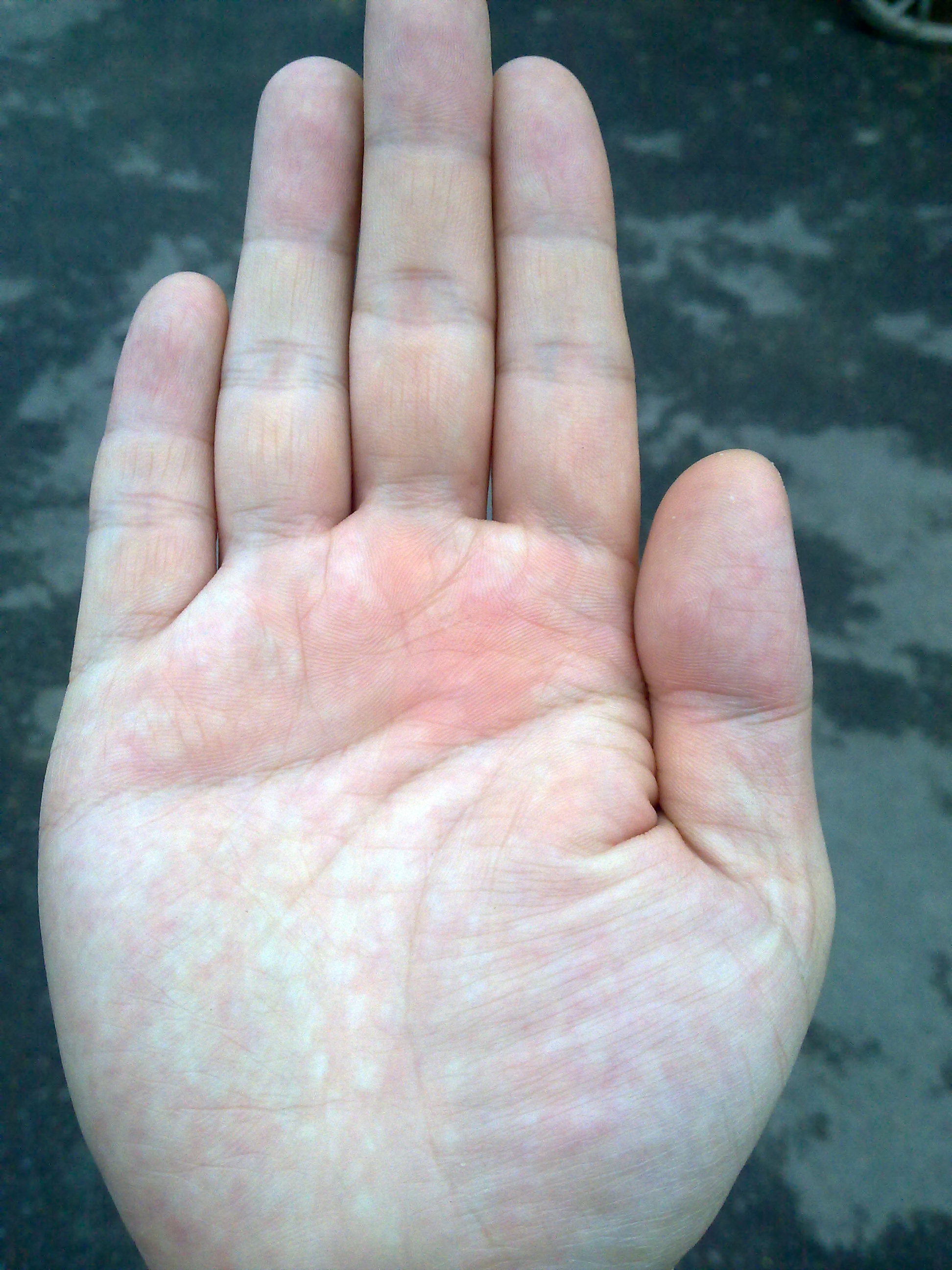 20120727025.jpg