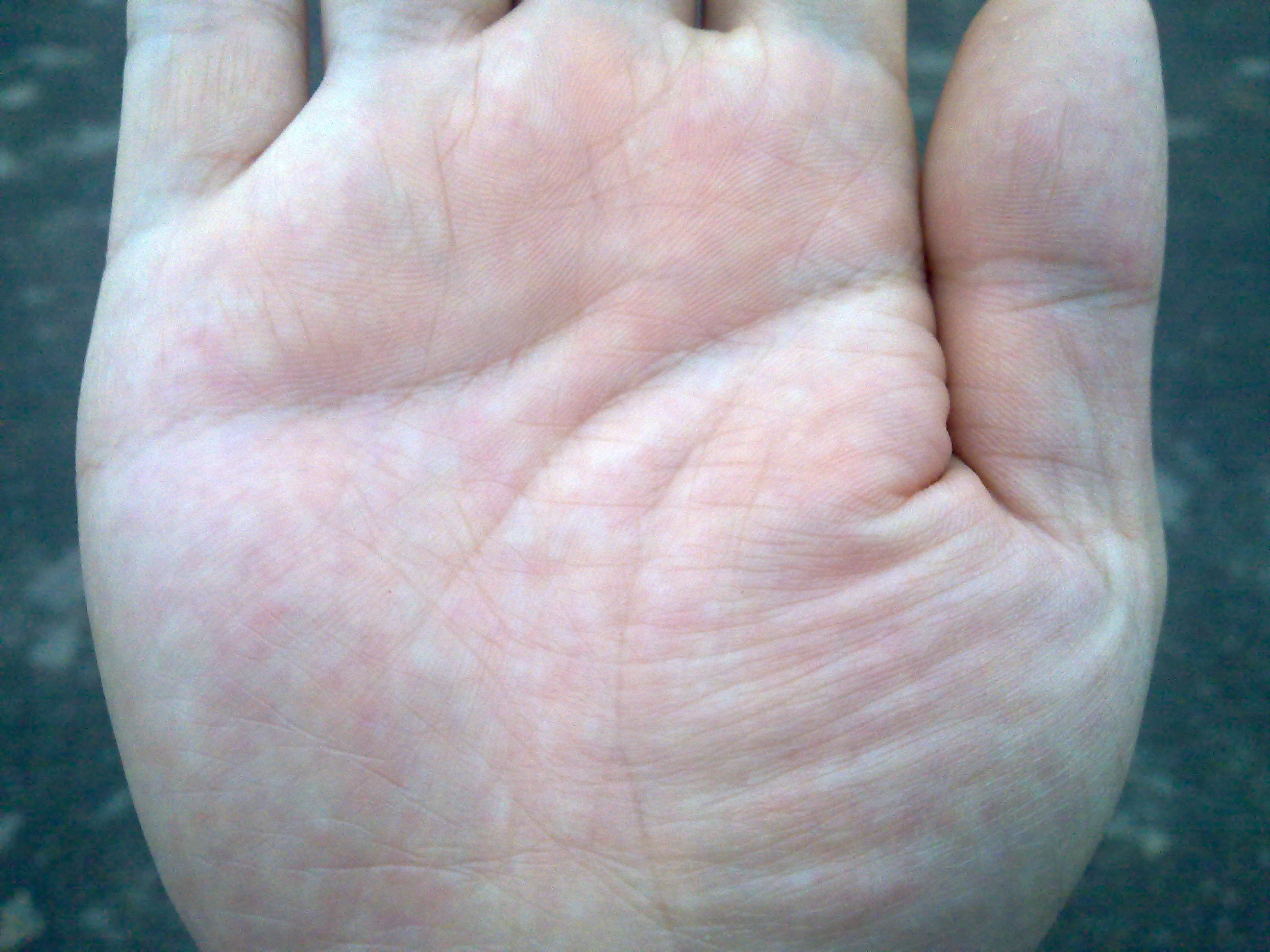 20120727035.jpg