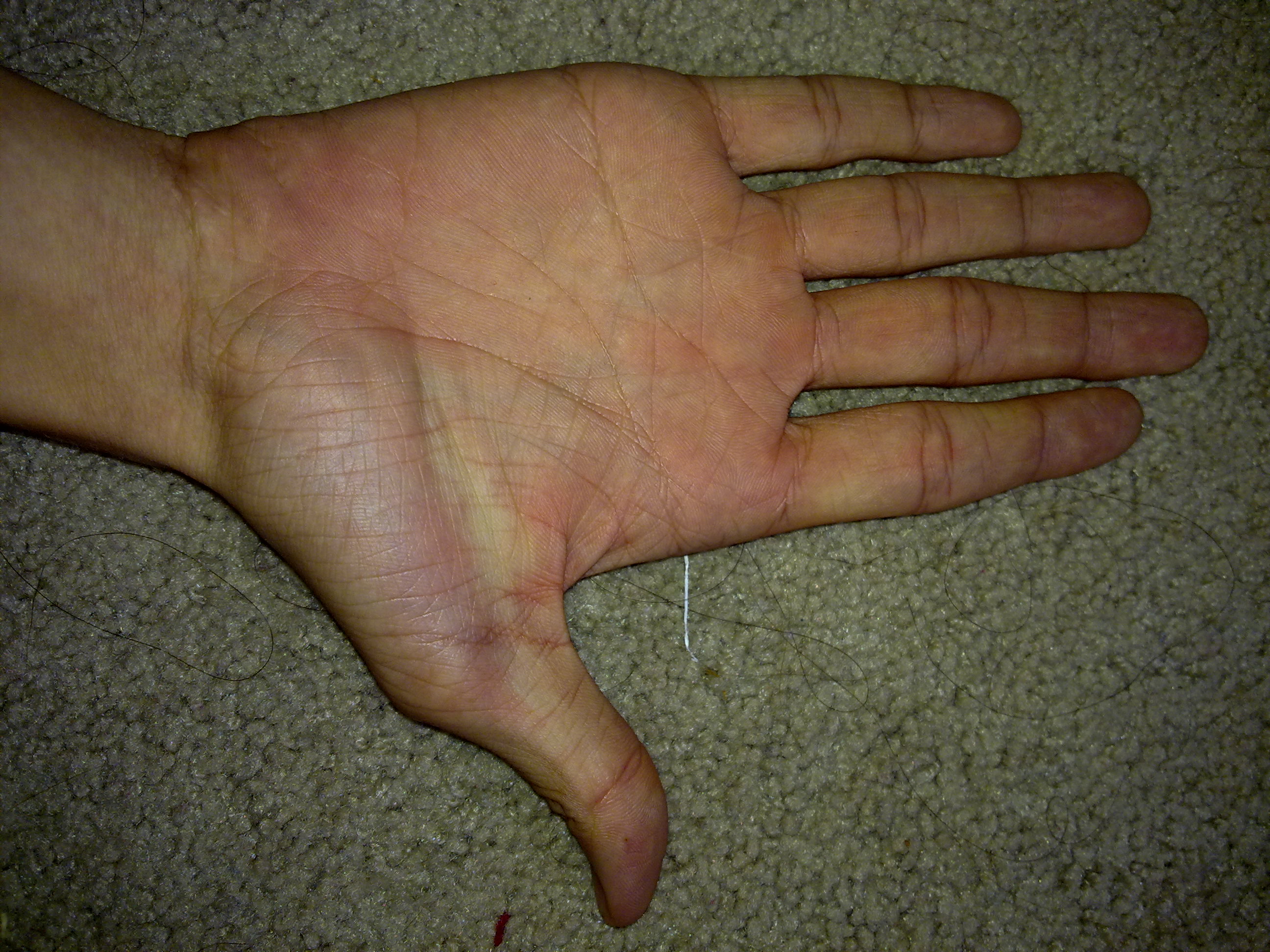 25092010471.jpg