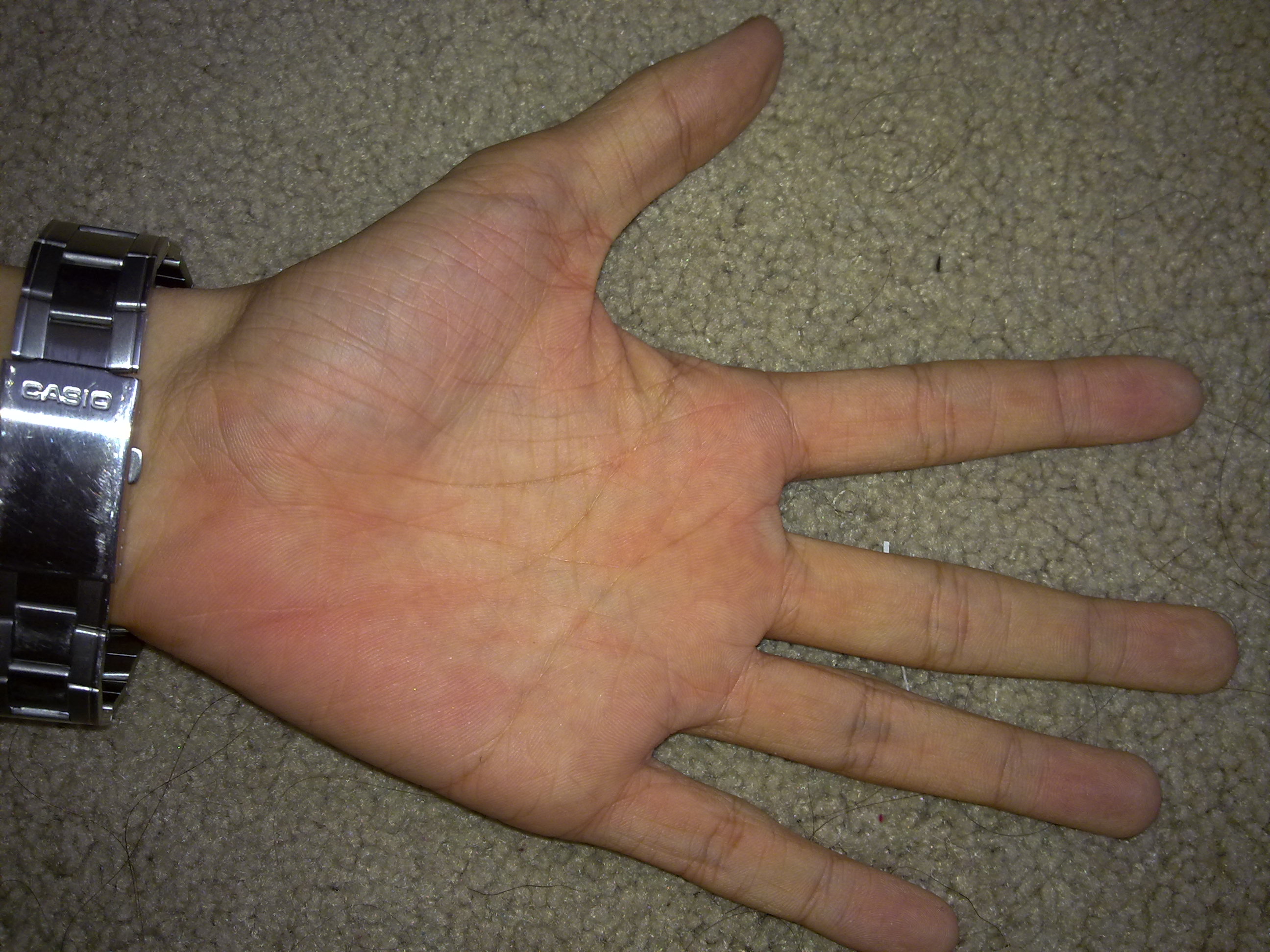 25092010474.jpg