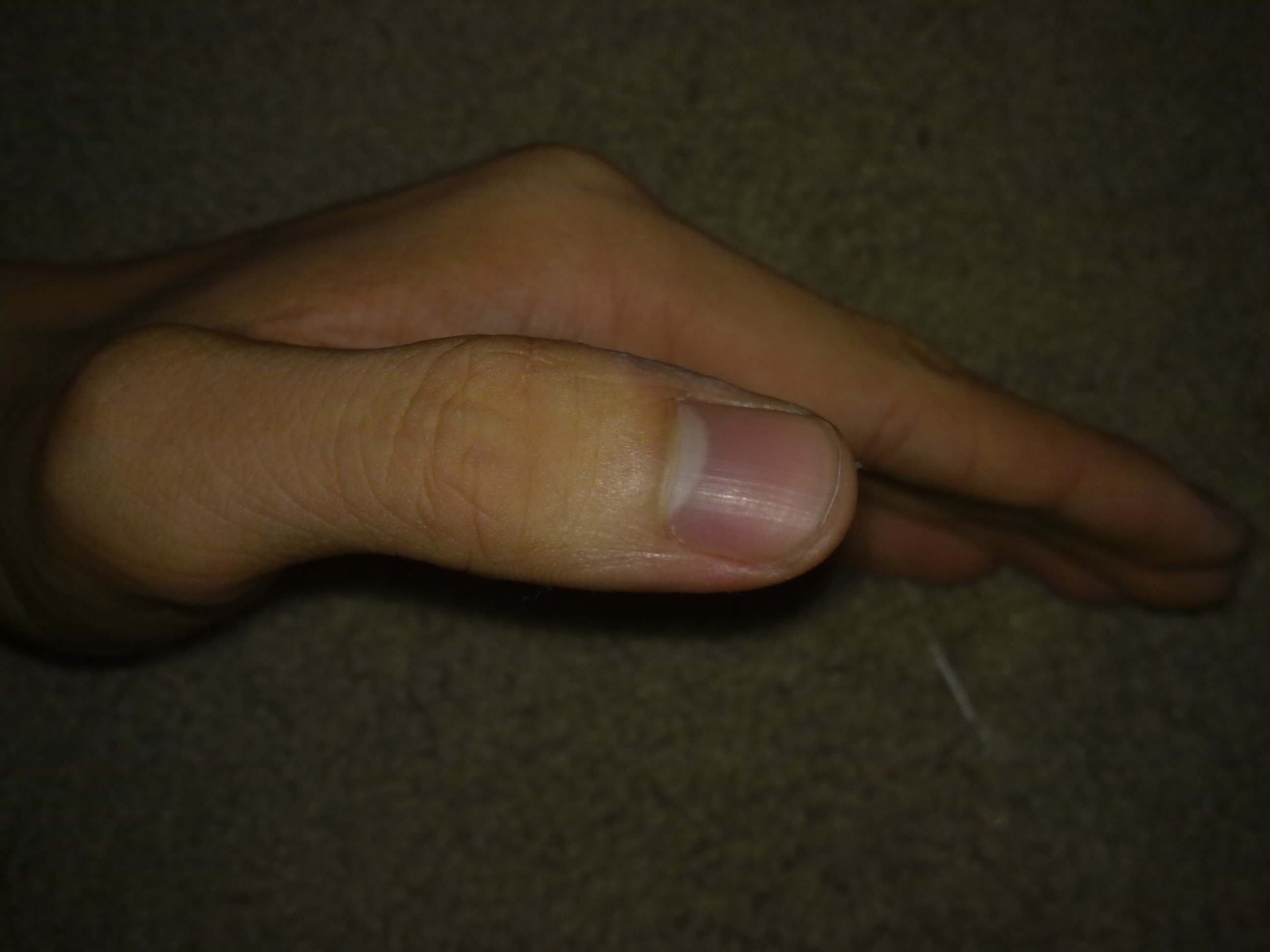 25092010476.jpg