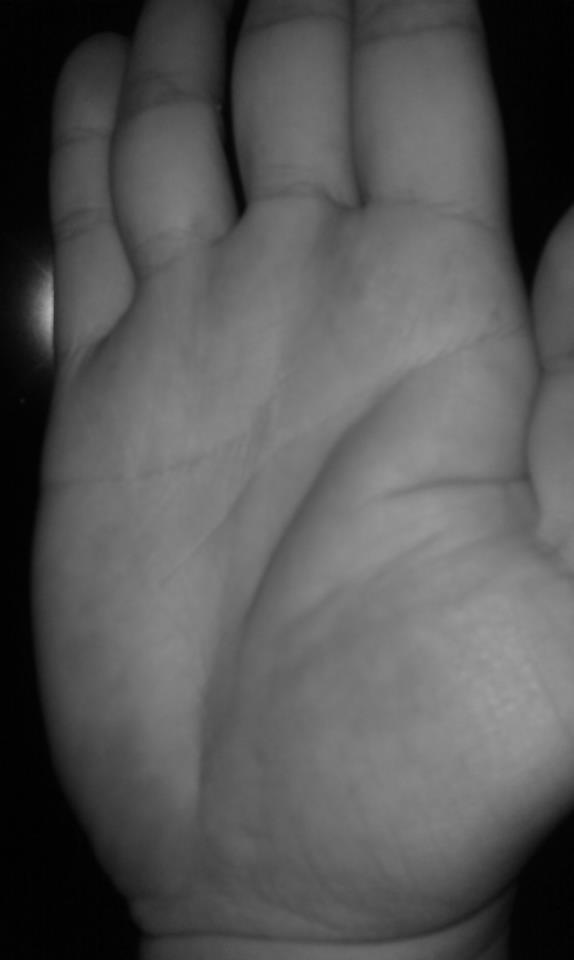 419857_493668910668191_621590205_n.jpg