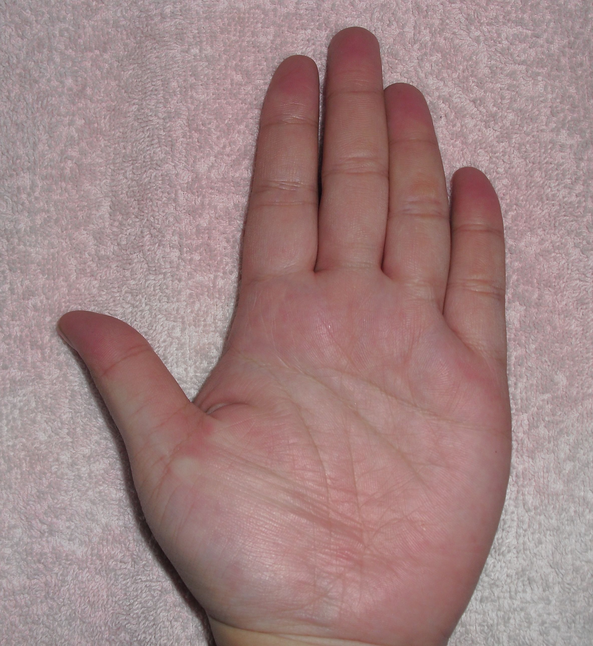 CIMG2005.jpg