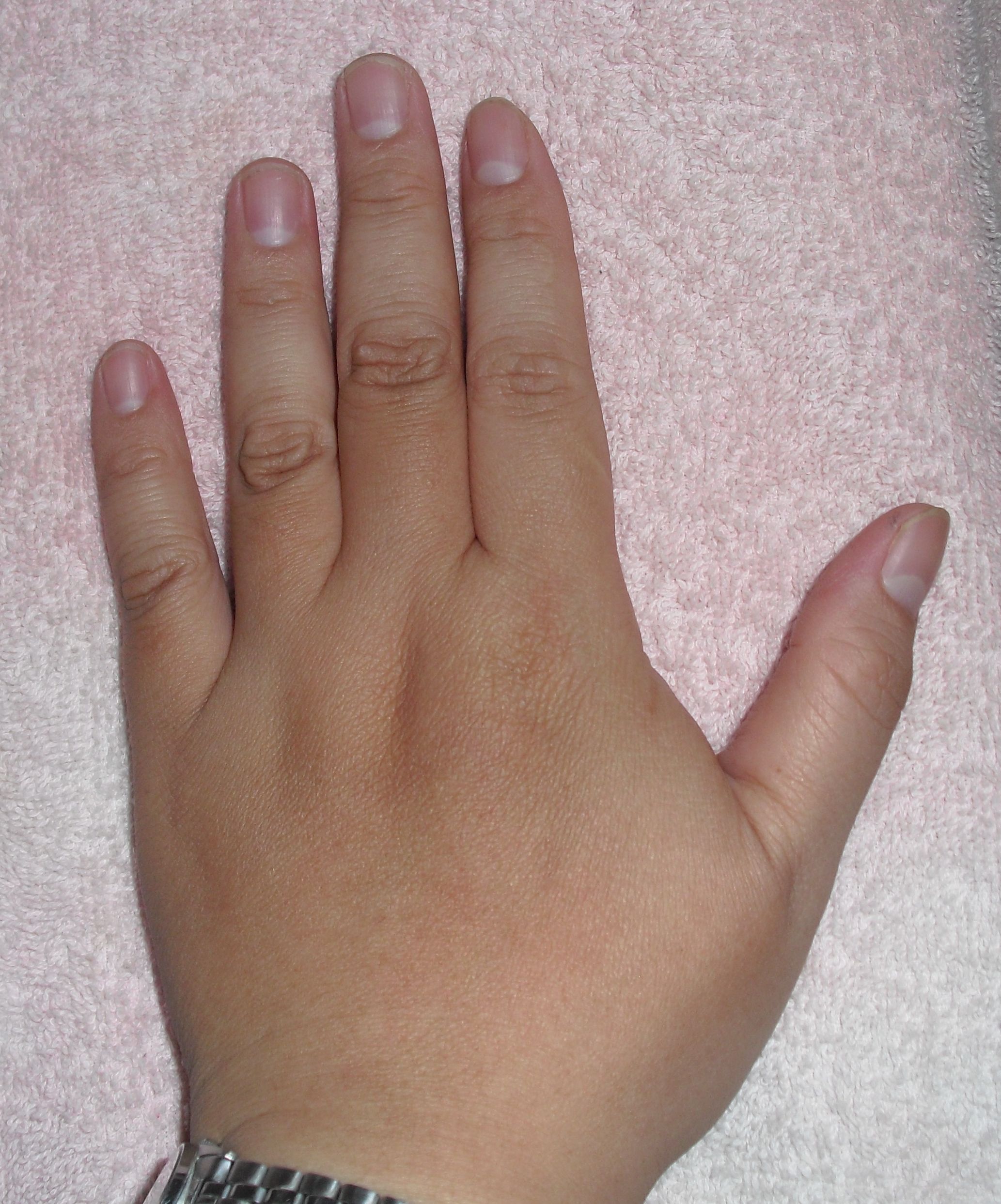 CIMG2006.jpg