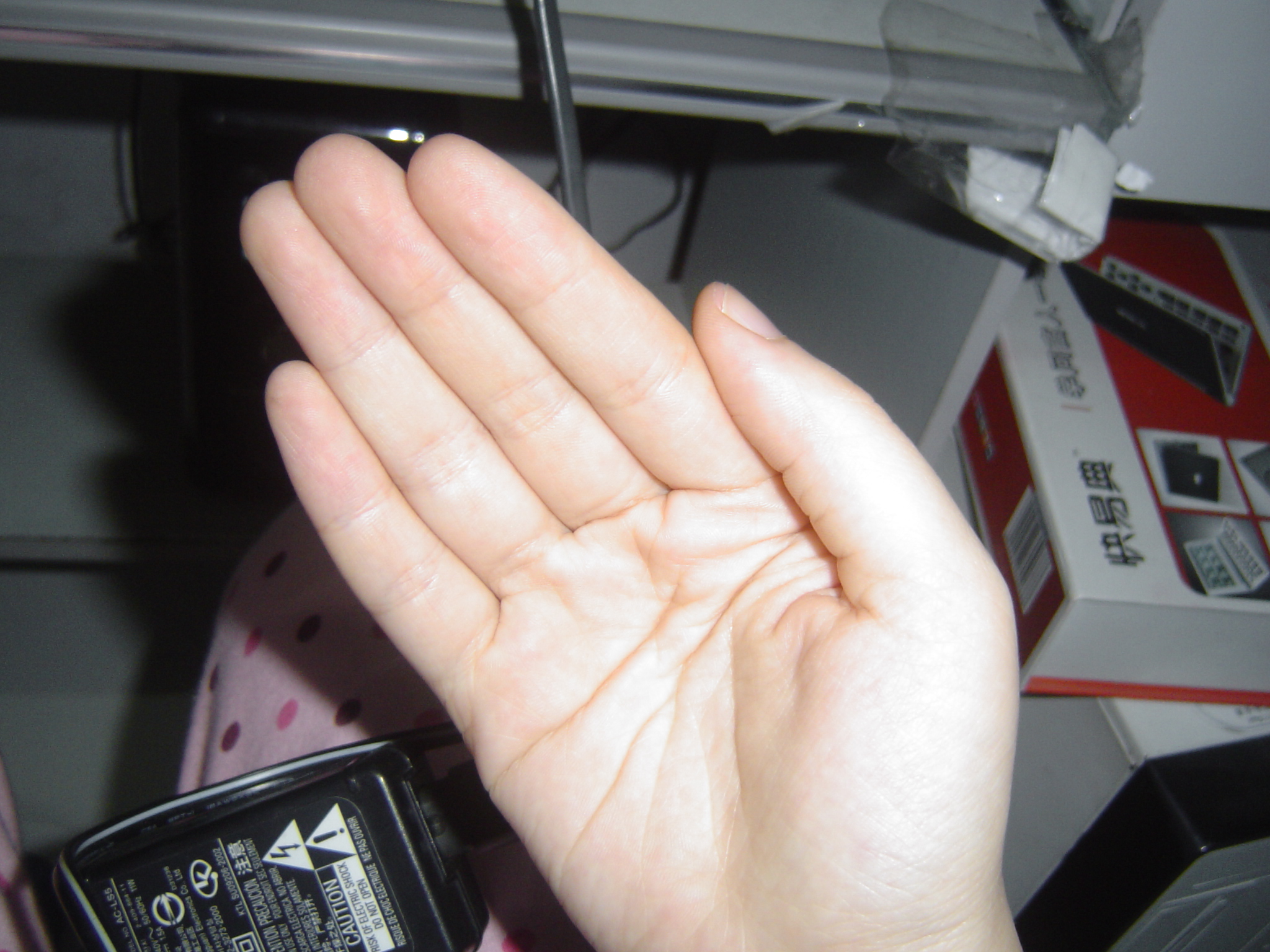 DSC00001.JPG