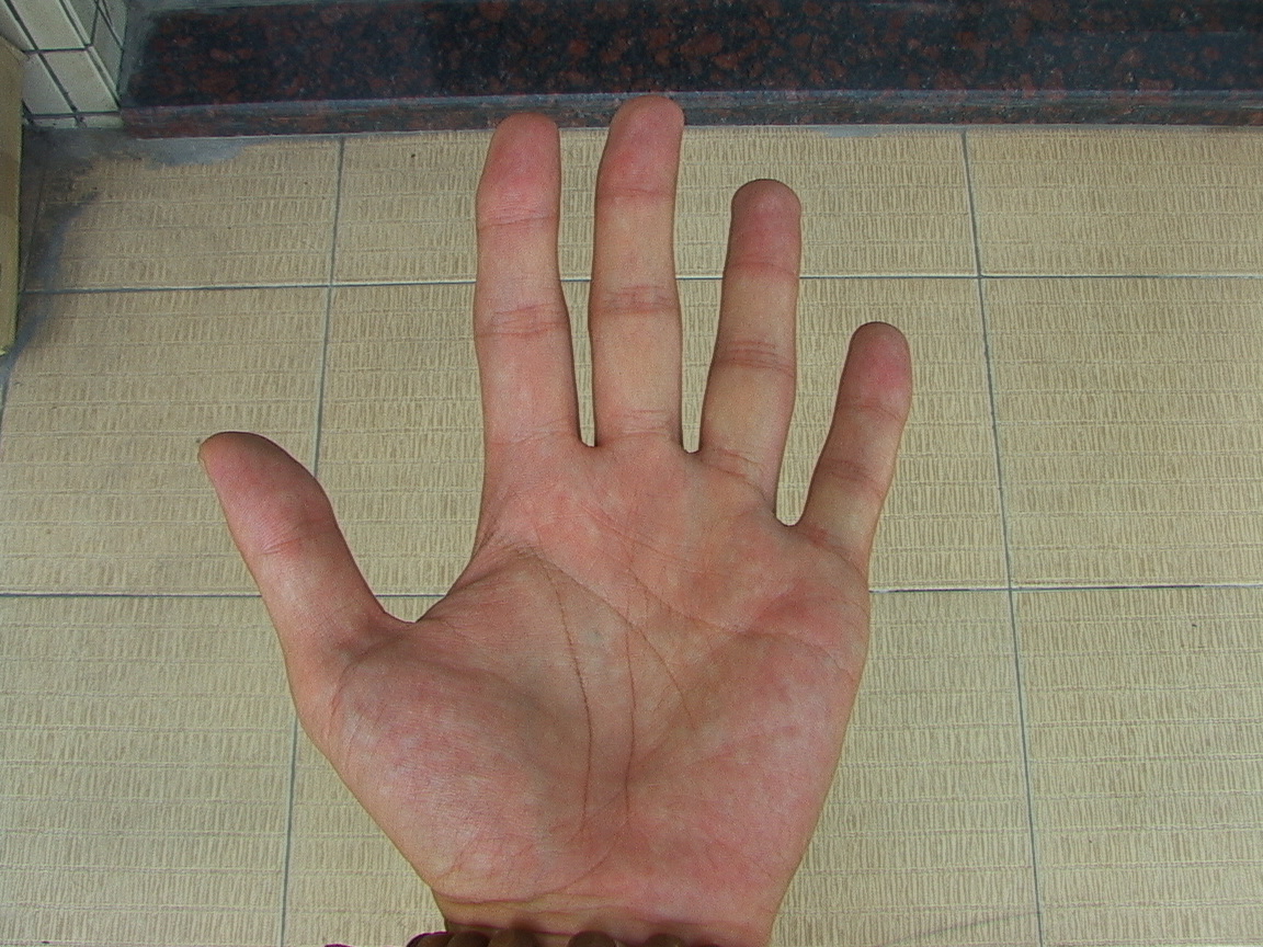 DSC00283.JPG