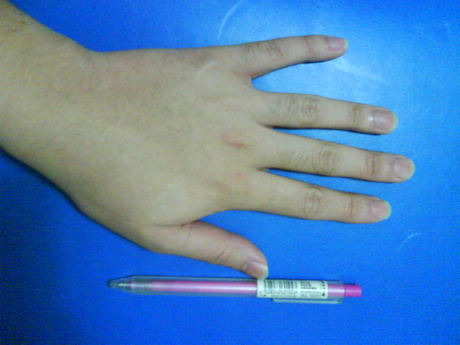 DSC00362.JPG