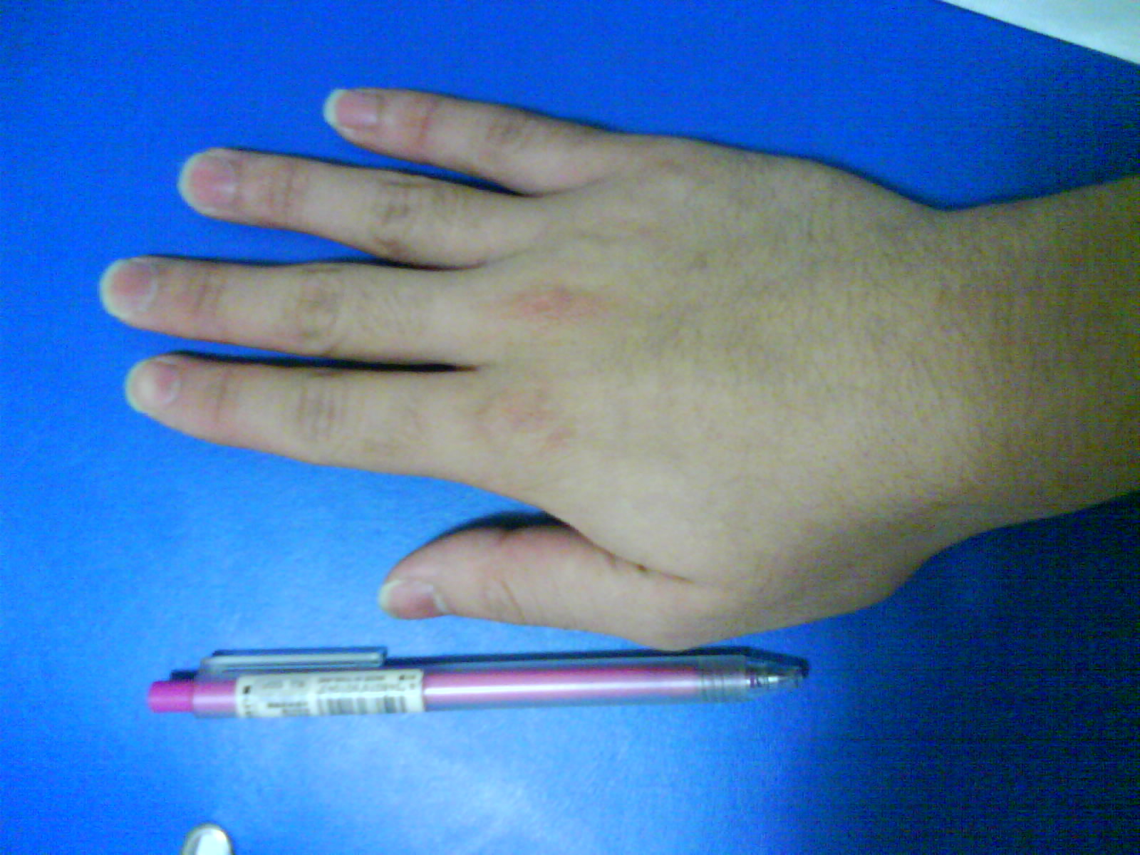 DSC00364.JPG